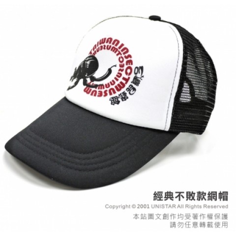 經典不敗款網帽
